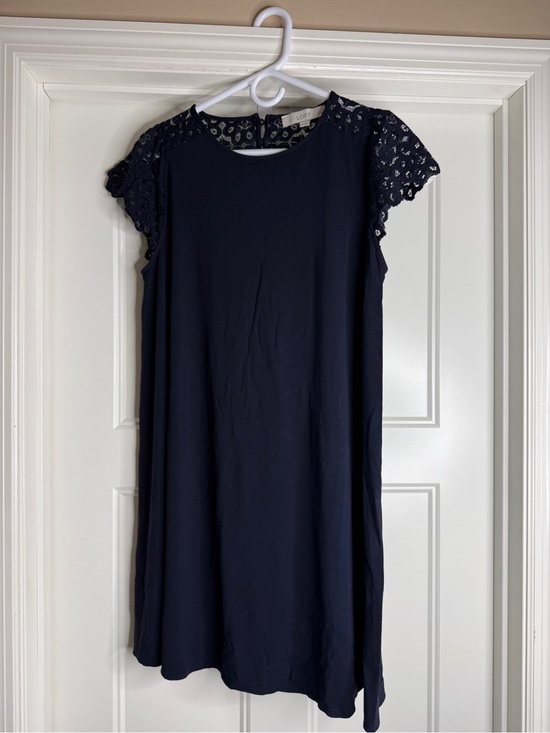 LOFT Dresses & Skirts - Women’s LOFT Navy Lace Sleeve Shift Dress, size Large Petite